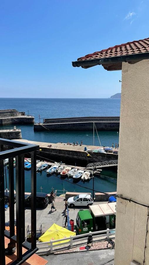 Precioso En El Puerto De Elantxobe